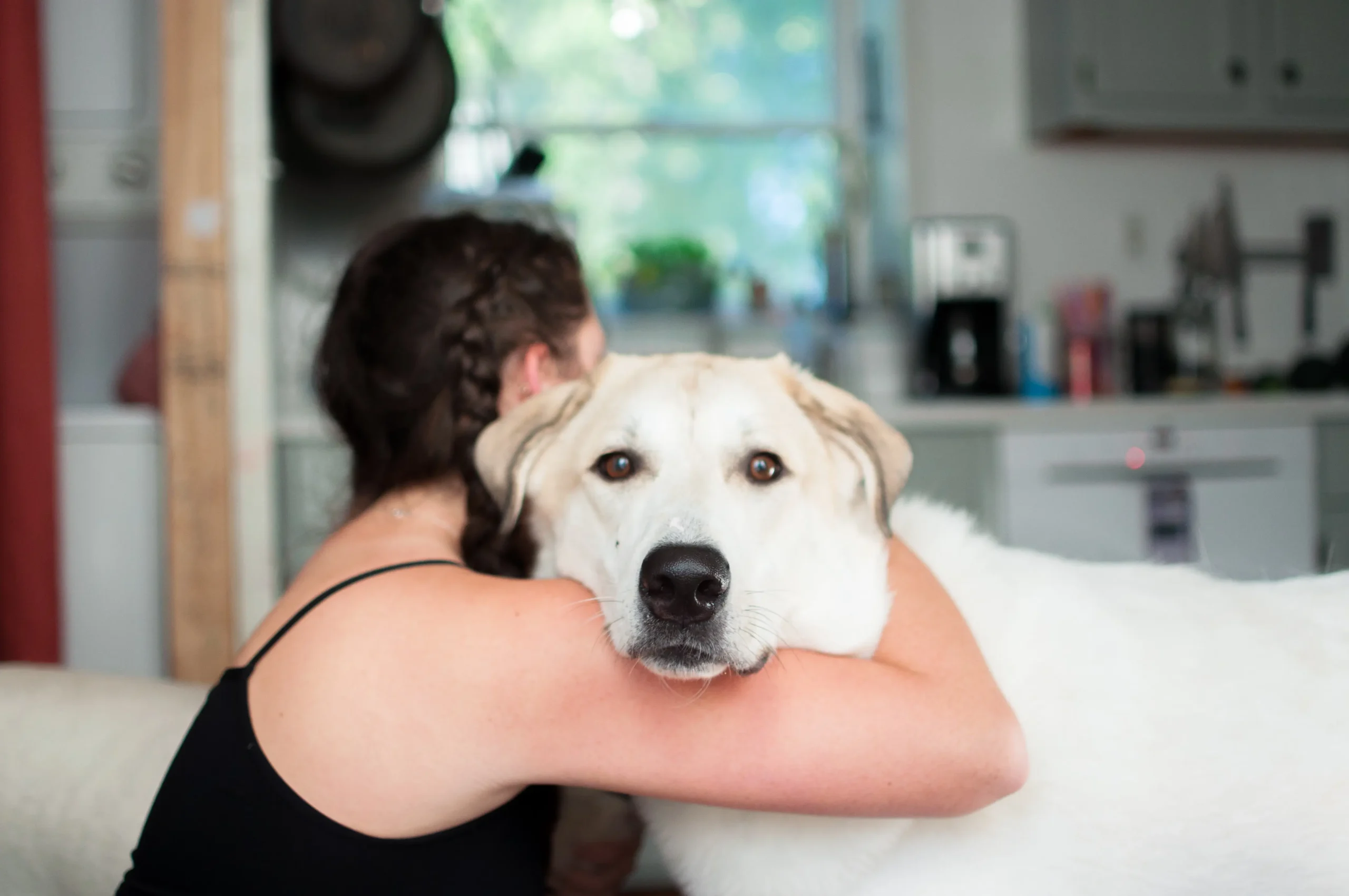 come affrontare perdita animale domestico